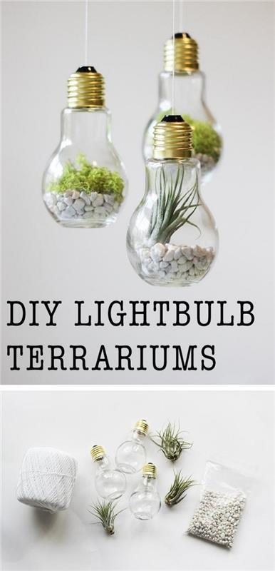 piccolo-terrarium-giardino-miniatura-piantina-sassolini-idea-creativa-riciclaggio-creativo-lampadine