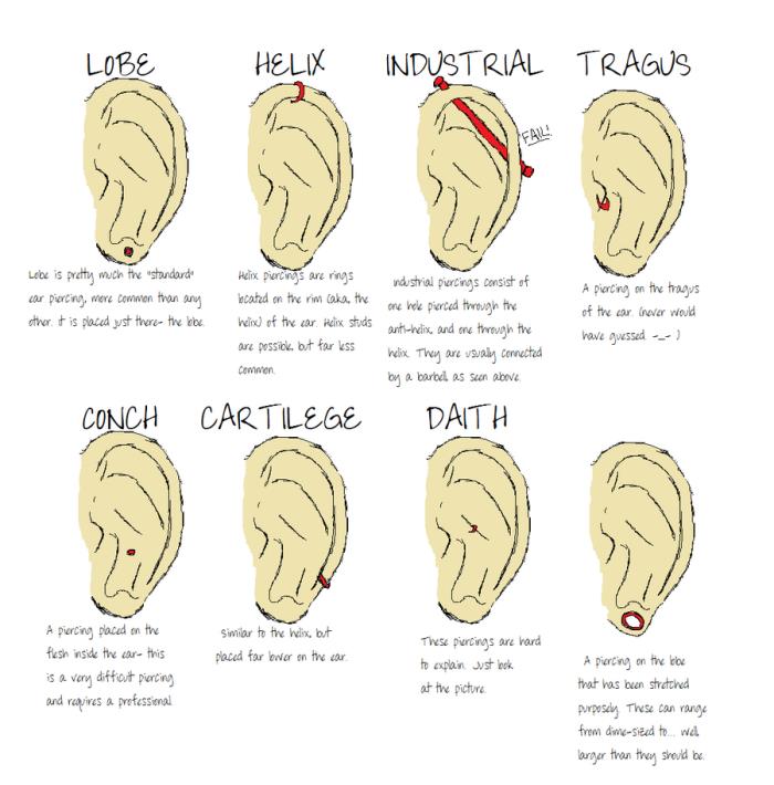 prebadanje žensk, kako razlikovati različne vrste prebadanja ušes, ilustracija z informacijami