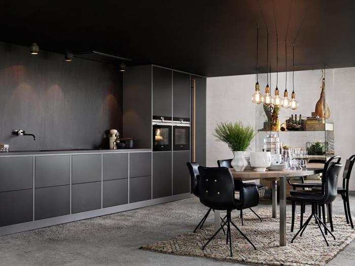 kambarys su juodomis lubomis ir antracito pilko atspalvio sienomis, grindys padengtos švelniai smėlio spalvos kilimais, matinė juoda virtuvė ir medis