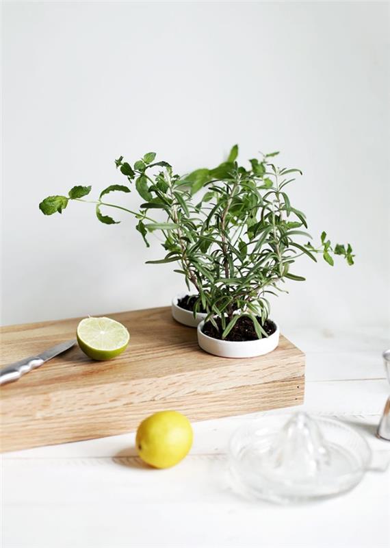 mutfak düzeni için orijinal fikir, entegre aromatik bitki kaplarına sahip bir kesme tahtası.