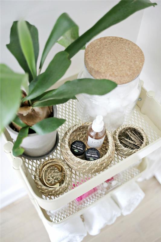 ışıksız banyo tesisi, bambu, nem emici bitki, yeşil bitkili güzellik bakımı depolama rafı