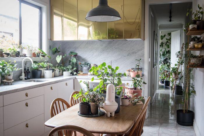 stanovanjski obrat, kuhinjski dekor z rastlinami na marmorni delovni plošči in na leseni mizi, zlata visoka omara in bela nizka kuhinjska omara