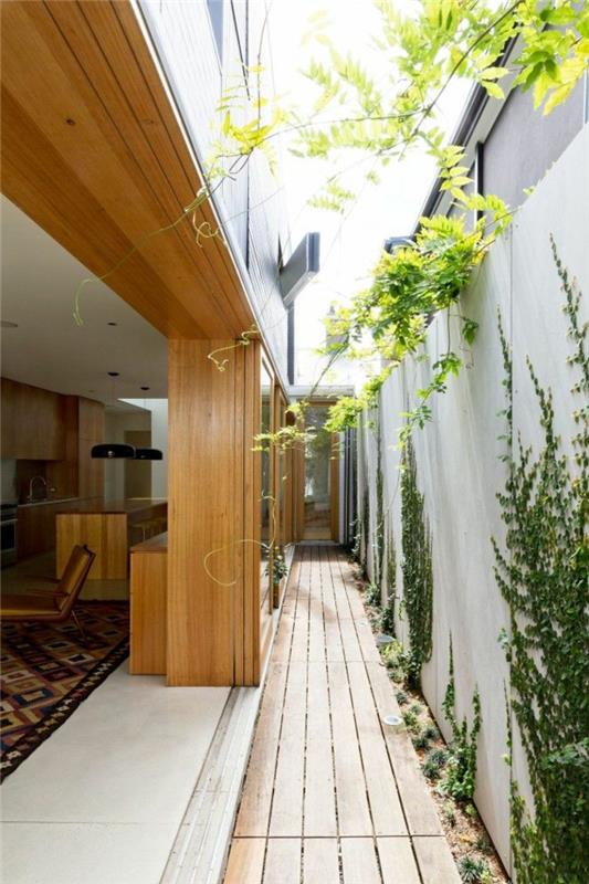 plezalna-rastlina-zunanjost-plezalne-rastline-za-vrt-zunanje-stene-drsna-vhodna vrata