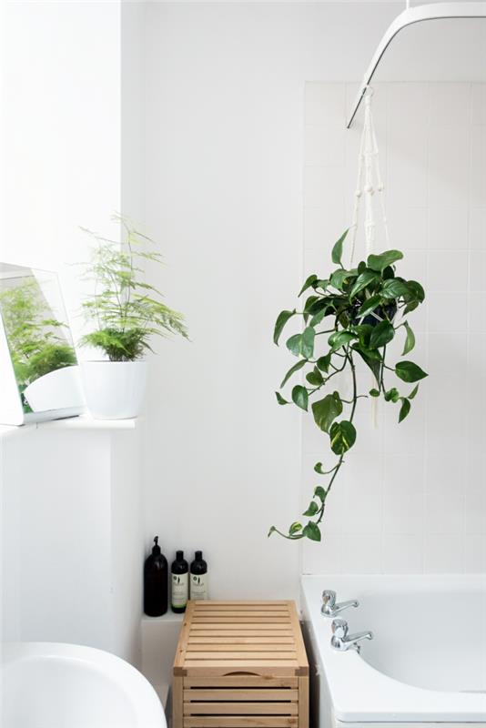 yeşil banyo, banyo tesisi, ev bitkileri, sarkık bitki, beyaz küvet köşesi, beyaz lavabo