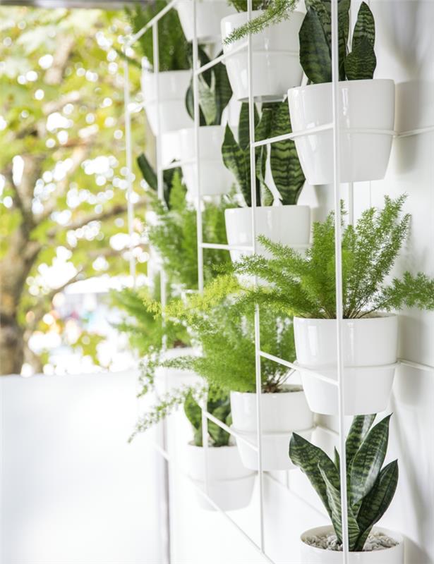 žalias vonios kambarys, balto metalo augalų lentynos, kambarinis augalas, balti keraminiai vazonai, žalia vonios siena