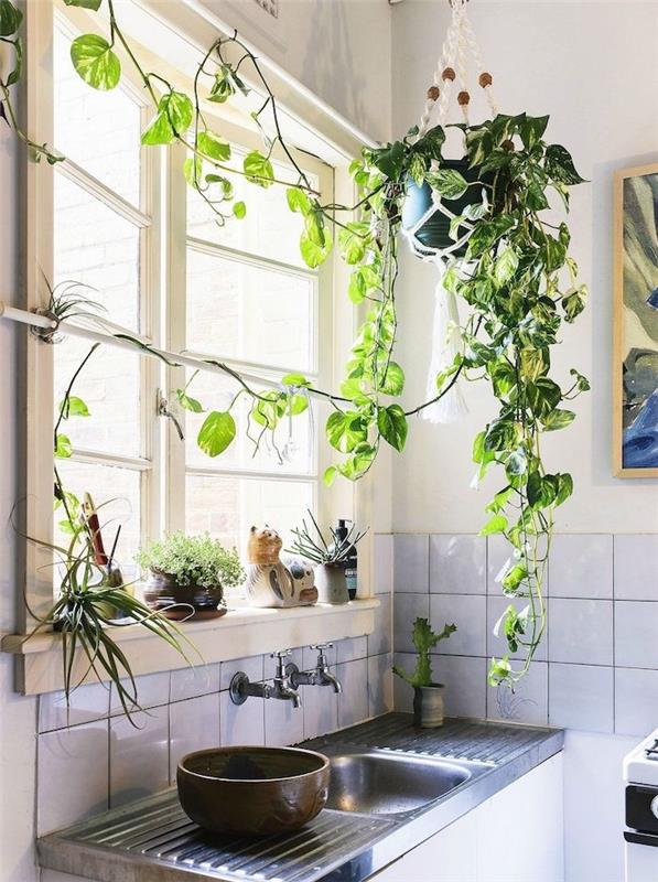 viseča rastlina nad umivalnikom, tradicionalna kuhinja z belimi keramičnimi ploščicami, bele stene, izvirni dekor podeželske kuhinje