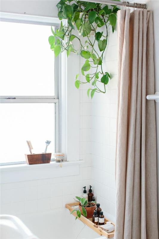 kabantis augalas, vonios kambarys, vonia ir dušas su rožine užuolaida, langas su baltu metaliniu rėmu, plytelėmis išklota balta plyta