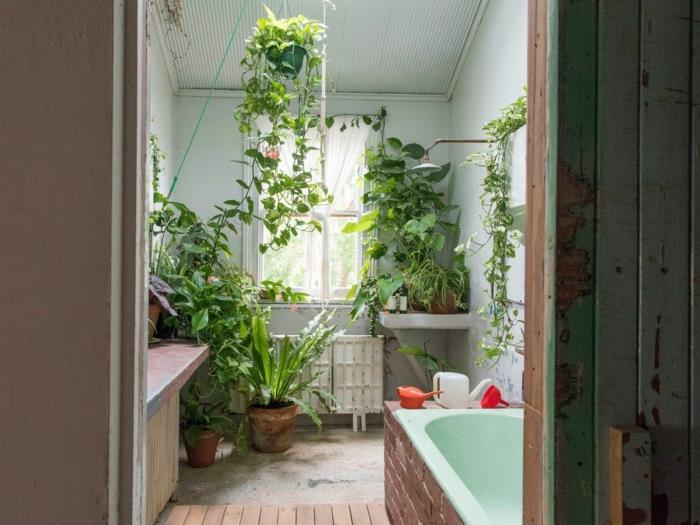 kambarinis augalas, pakabinamas augalas, boho prašmatnaus stiliaus vonios kambarys, žalia reseda vonia, padengta rudų plytų plytelėmis, žalias vonios kambarys
