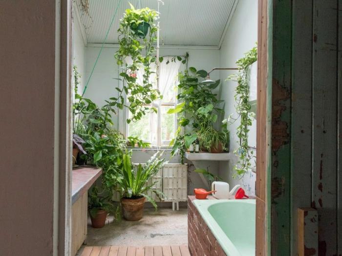 iç mekan bitkisi, asma bitki, boho şık tarz banyo, kahverengi tuğla fayans kaplı reseda yeşil küvet, yeşil banyo