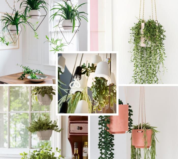 asılı bir etli bitki, metal süspansiyonlu yemek odası dekoru ve yeşil bitkiler ile iç mekanınızı nasıl dekore edersiniz