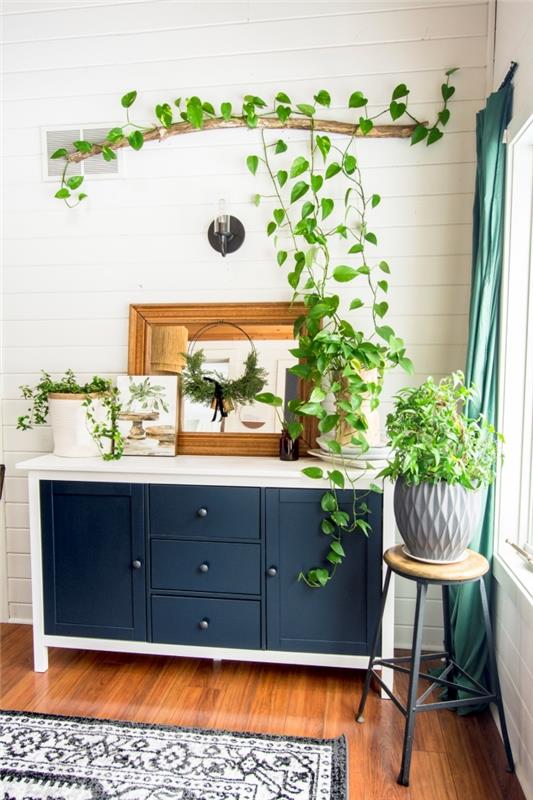 viseča rastlina v zaprtih prostorih modra in črna komoda ogledalo leseni okvir zelene zavese siv cvetlični lonec