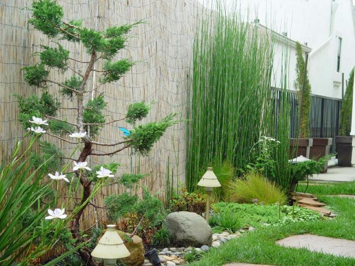 rastlinsko-bambusov-lep-vrtni-dizajn-z-japonskim pridihom
