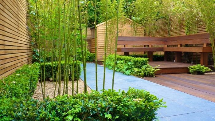 rastlina-bambus-rastlina-bambus-ustvari-svoj-zen-vrt