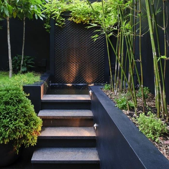 rastlina-bambus-rastlina-bambus-v-moderni-sadilniki