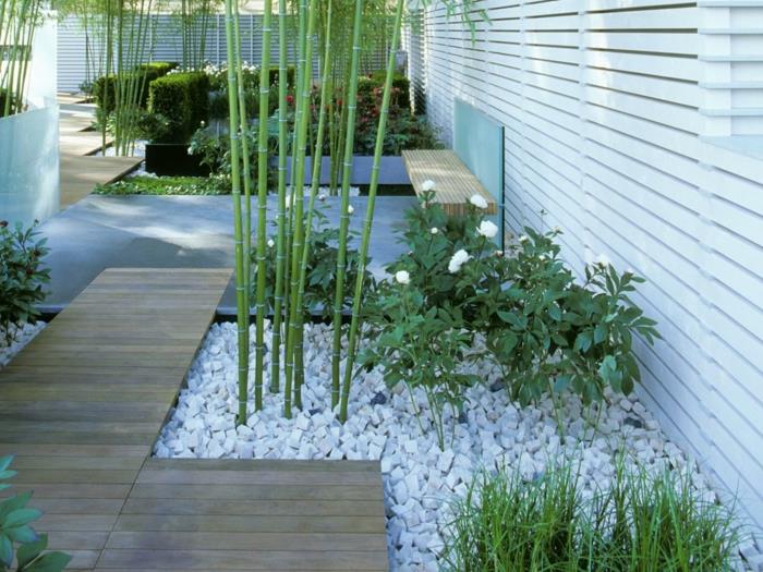 rastlina-bambus-rastlina-bambus-na-vašem vrtu