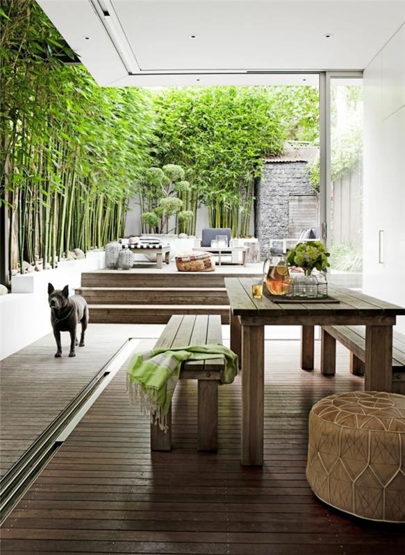 sadike-bambus-a-moderno-teras-bambus-sadilniki