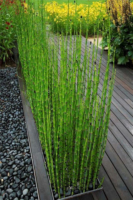 rastlinsko-zelene-bambus-na-lesene terase