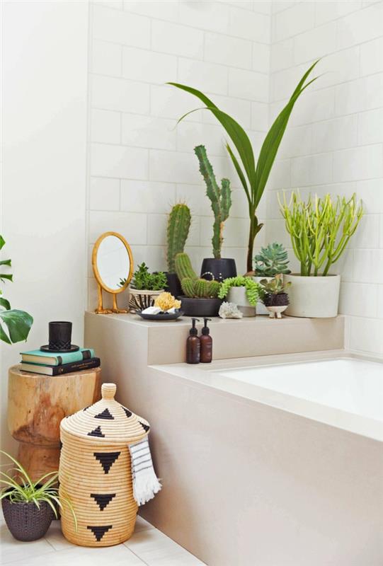 smėlio ir baltos spalvos vonia, dekoruota kaktusais ir alaviju, egzotiškas vonios kambario išdėstymo stilius, baltos plytelės, baltų plytų plytelės sienoms, kambarinių augalų atspalvis