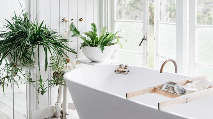 balta vonia, du balti vazonai su žaliais augalais, pakabinamas augalas, vonios kambarys, baltos spalvos sienos, didelės balkono lango durys su baltais rėmais