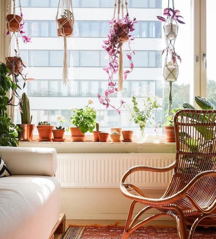 sočna sobna rastlina in kaktus v lončkih, lonci za makrame, ki visijo z visokega stola za konzerviranje, beli kavč