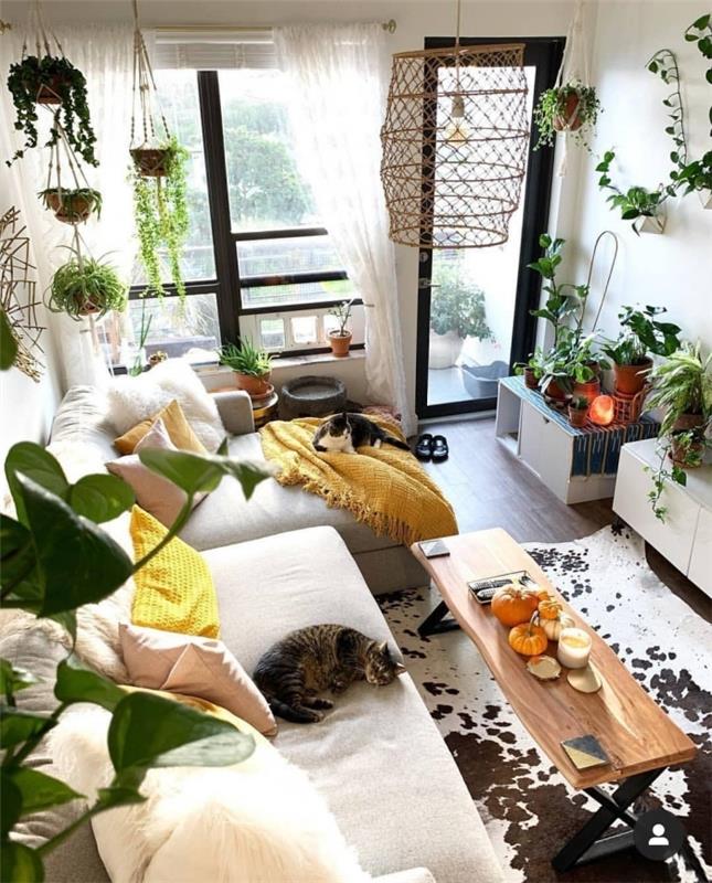 sukulenti d notranjost rumena karirana resica viseča makrame rastlinska svetilka mizica dnevna soba