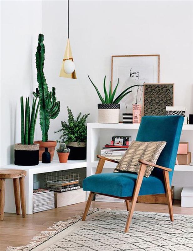 patalpų sukulentai-kaktusai ir sukulentai-skandinaviška kėdė-balta lentyna