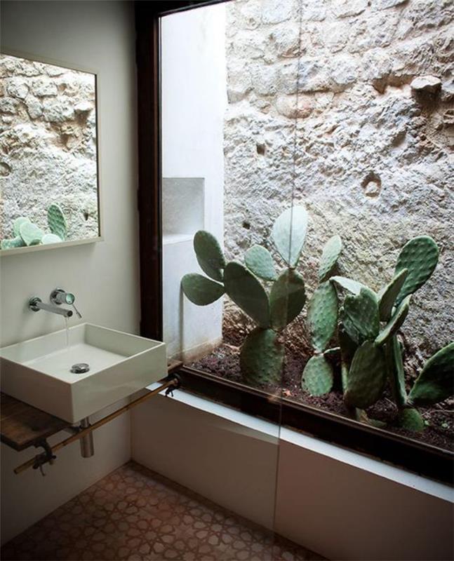 patalpų sukulentai-fantastiška-dekoratyvi-idėja-castus-vonioje