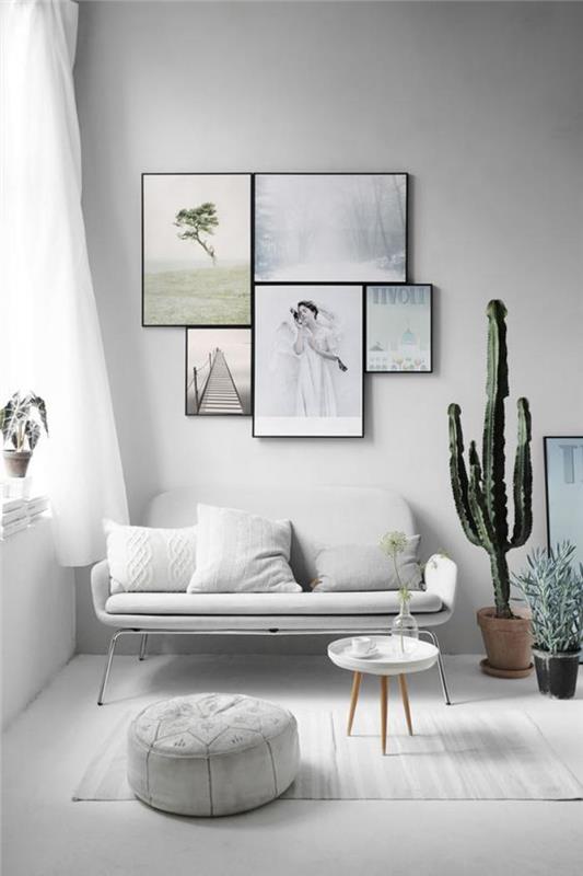 patalpų sukulentai-gražūs kaktusai monochromatiniame kambaryje