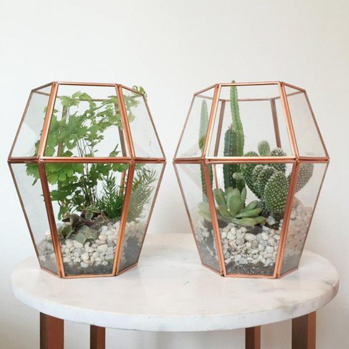 patalpų sukulentų-stiklo ir vario-terariumų-kaktusų kompozicijos