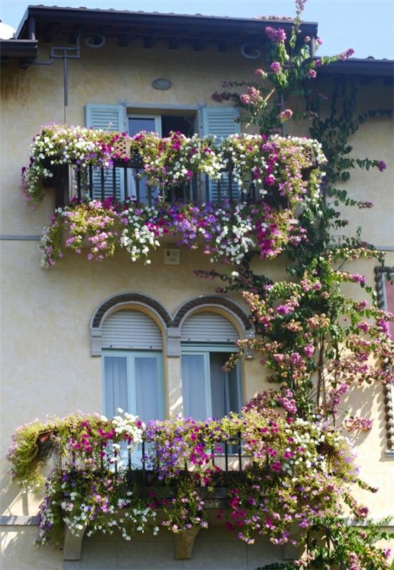 plezalne rastline-rešetke za balkone in terase-bele-polkne-spremenjene velikosti