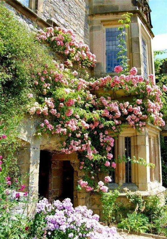 plezalne rastline-zunanjost-hiša-s-kamnitimi-zidovi-vrt-s-veliko rožami