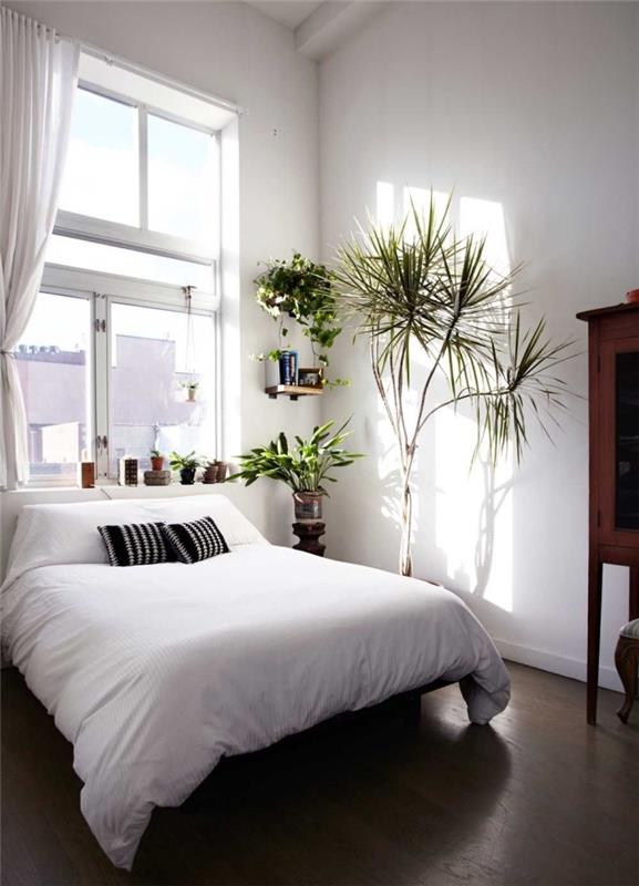 minimalistična dekoracija v majhni boemski spalnici z belimi stenami s temnim parketom in več zelenimi rastlinami