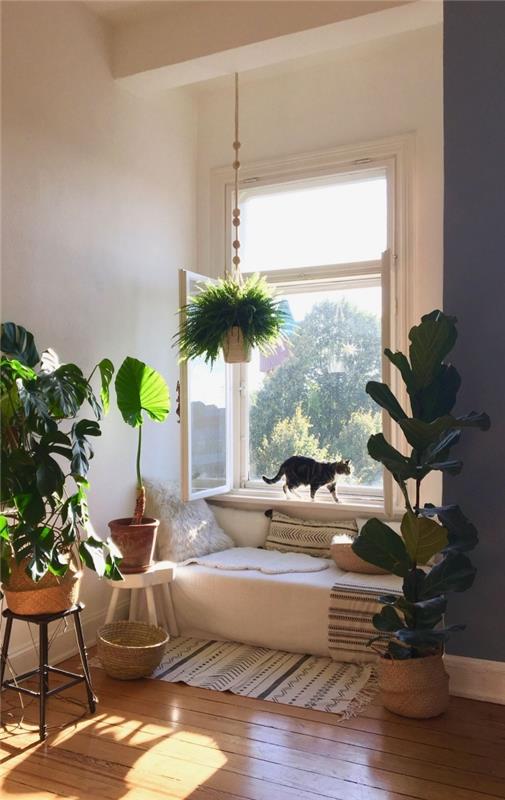 dizaino poilsio ar skaitymo kampas po kokonuojančiu langu, interjero dekoravimas žaliais augalais rotango puodo laikiklyje