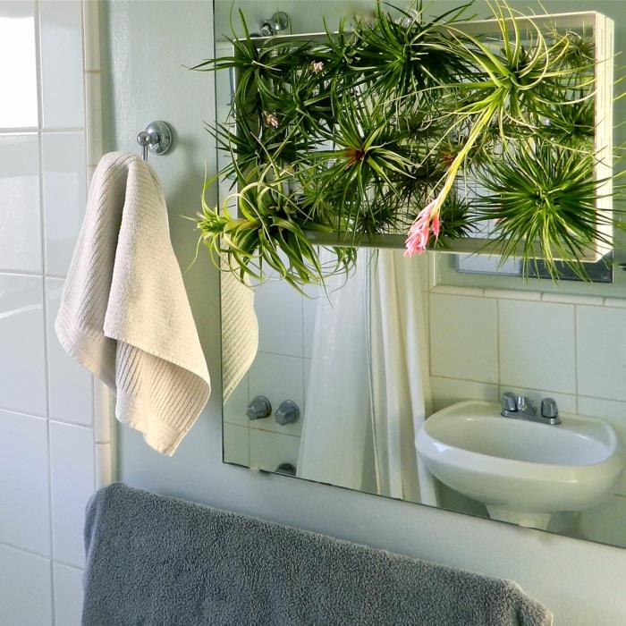 augalas vonios kambariui, kabantis augalas, nedidelis zen sodas virš kriauklės, dušas su balta uždanga, kambarinių augalų atspalvis
