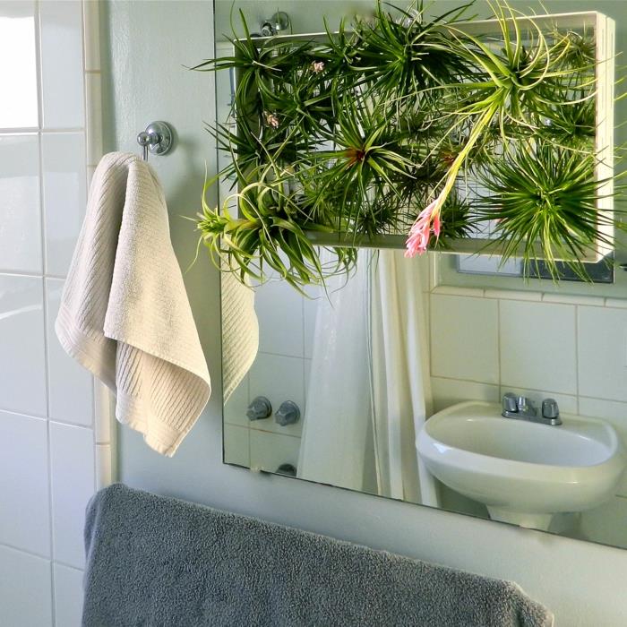 banyo için bitki, asılı bitki, lavabonun üstünde küçük zen bahçesi, beyaz perdeli duş, iç mekan bitki gölgesi