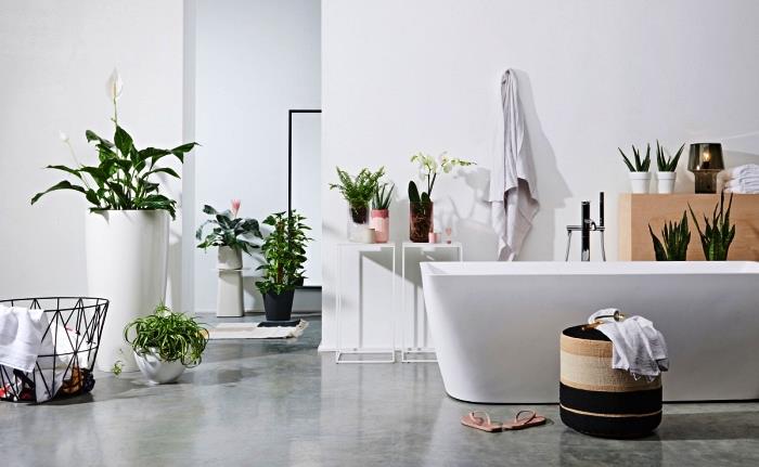 bela kopalnica z rastlinskimi poudarki s samostoječo kadjo v sodobnem dizajnu, skandinavski in etnično elegantni kopalniški dodatki