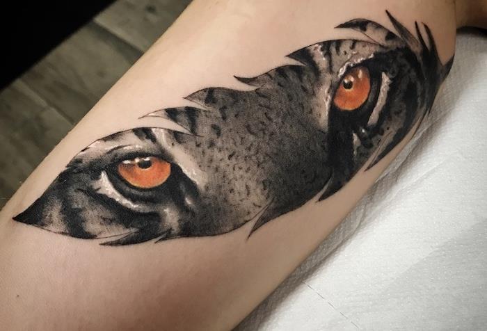 tatuiruotė vyrams, rašalo piešimas ant odos, tatuiruotė su plunksna ir tigro akimis