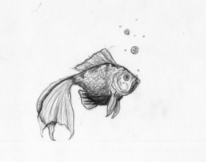 Güzel bir çizimi çoğaltması kolay, kolay ve güzel siyah beyaz çizim yapın, balıklar