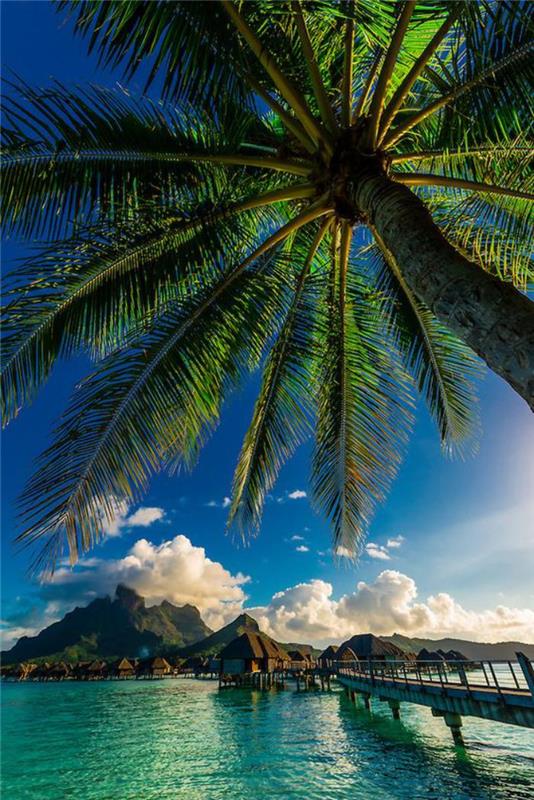Prancūzijos-Polinezijos-kelionių-rojaus-vaizdai-Polinezija