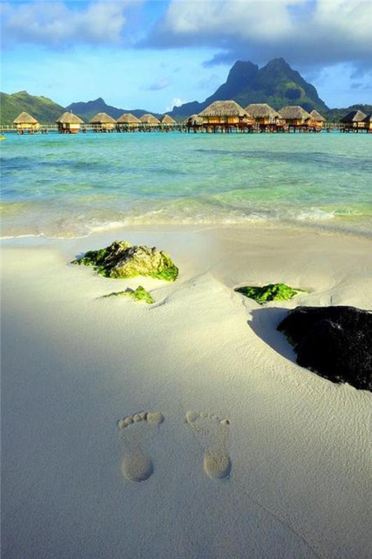 francoska-polinezija-plaža-izlet-solitaires-in-sonce