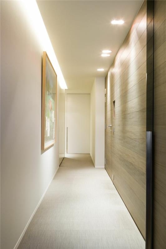 drsna vrata-v-svetlem-lesu-v-modernem-hodniku-bele-stene-siva-lesena vrata