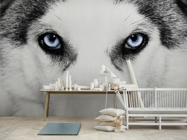 stenski plakat-trompe-l 'oeil-un-loup