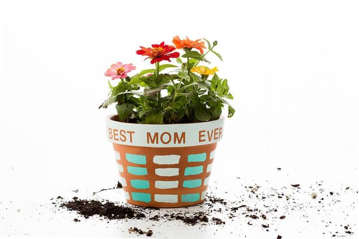 boyama ile kişiselleştirilmiş bir pişmiş toprak saksı, bahçe tutkunu kadınlar için anneler günü hediyesi fikri