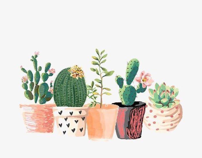 lonci s kaktusi, različni sukulenti, slike risb, pisani lonci, belo ozadje