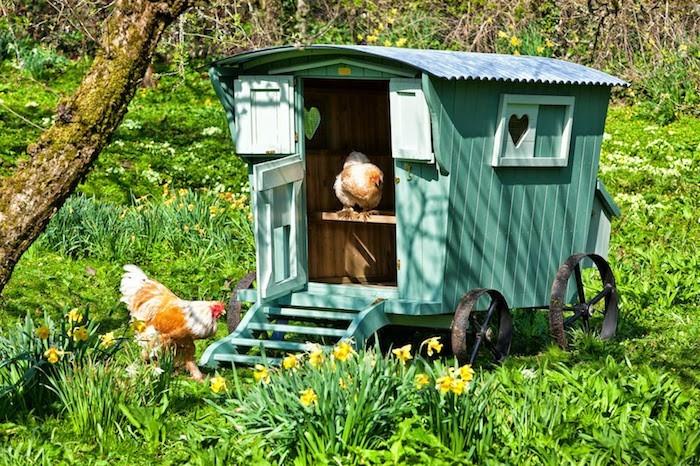 kümes-orijinal-karavan-bahçe