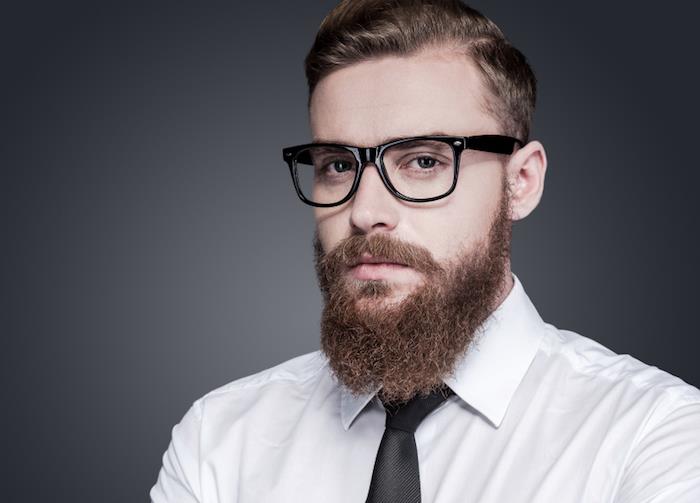 kako ohraniti dolgo brado za delo