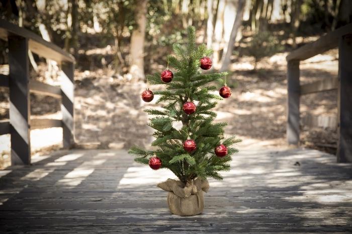 Linksmų Kalėdų įvaizdis su natūraliu kraštovaizdžiu miške ir mini eglutė, papuošta raudonais ornamentais