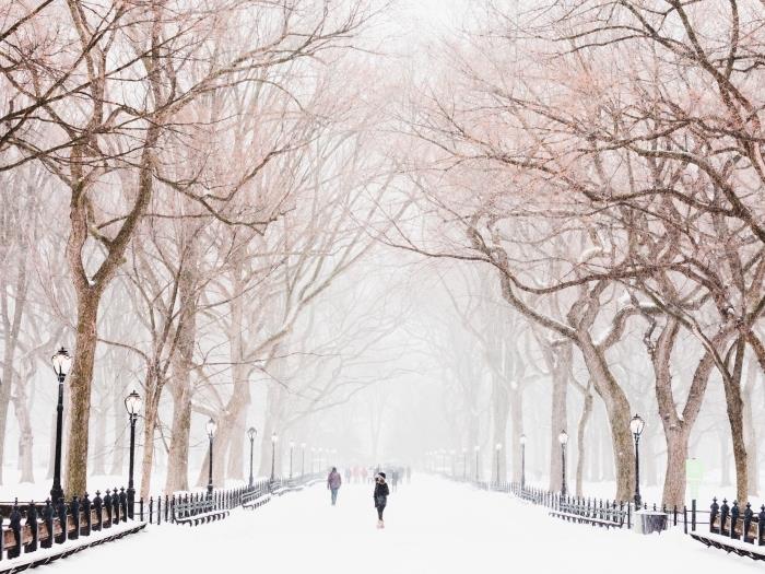 çıplak ağaçlar ile bir parkta güzel kış fotoğrafı, ücretsiz yılbaşı duvar kağıdı fikri, kış teması indir resmi