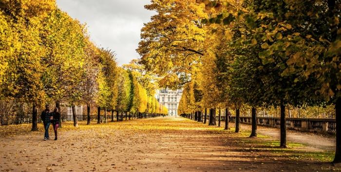 walks-in-paris-to-walk-capital-of-france-promenade-fall
