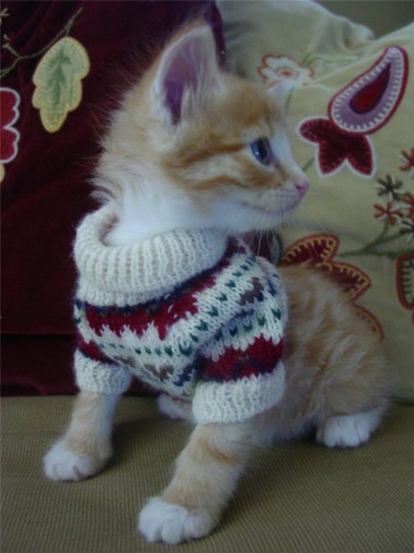 megztinis-modelis-žakardas-moteris-megztinis-papa-noel-kačiukas
